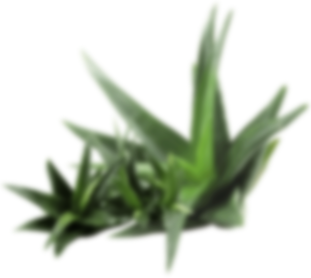 cosmetics-aloe-layer-2.png